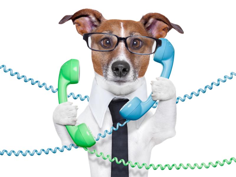 Att ansöka om ett telefonlån